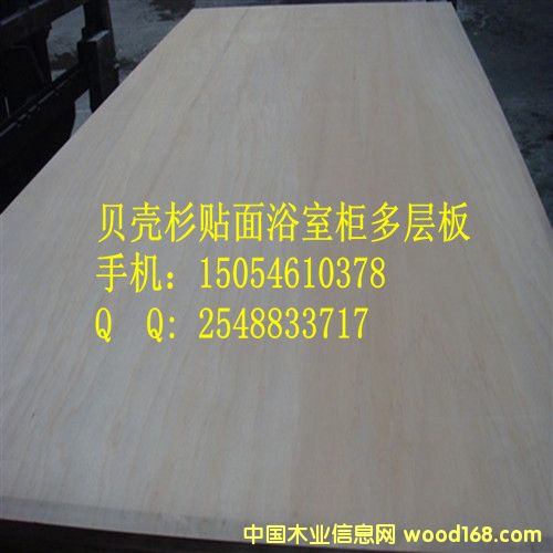 ����������������ϸ����