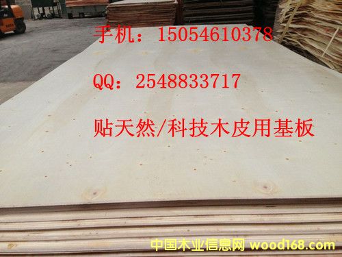 �Ҿ߱���ר�ð����ϸ����