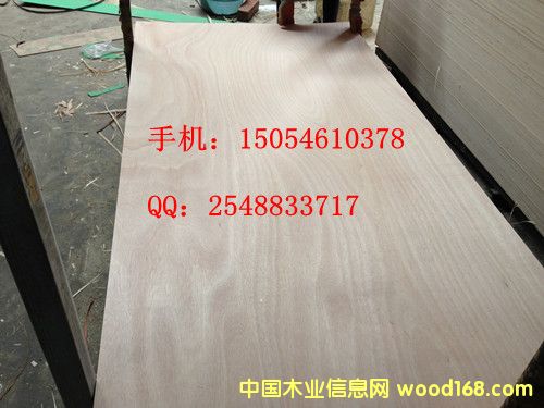 �¹�����������ϸ����