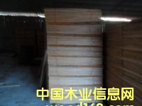 ��ľ����