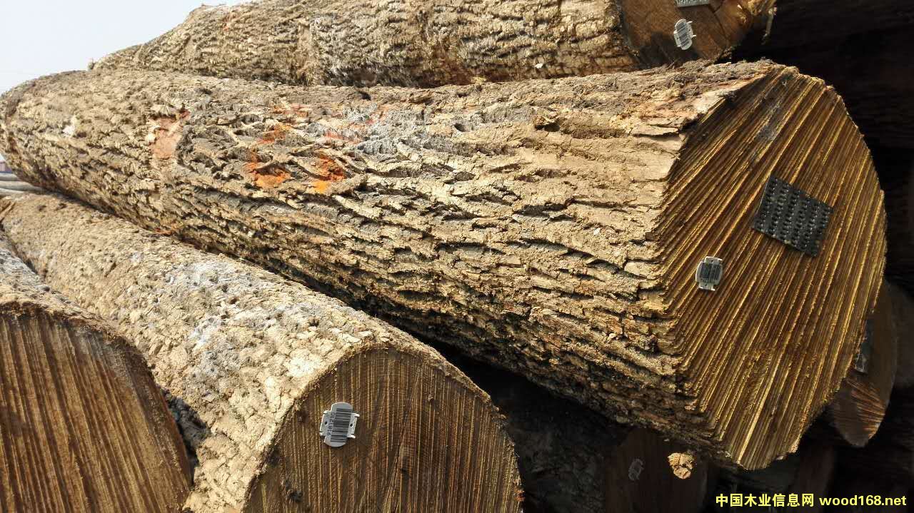 白蜡木价格,最新木材市场价格和走势-中国木业信息网