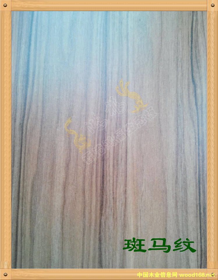 ��ۺ踣��̬��-������