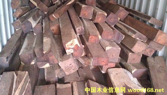 ΢����̴���������֦