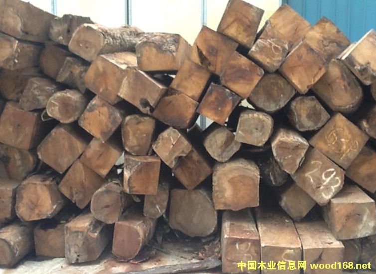 ���޻���ԭľ 