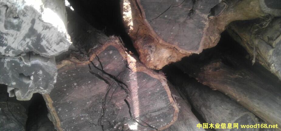 ���޺�ľ��ľ