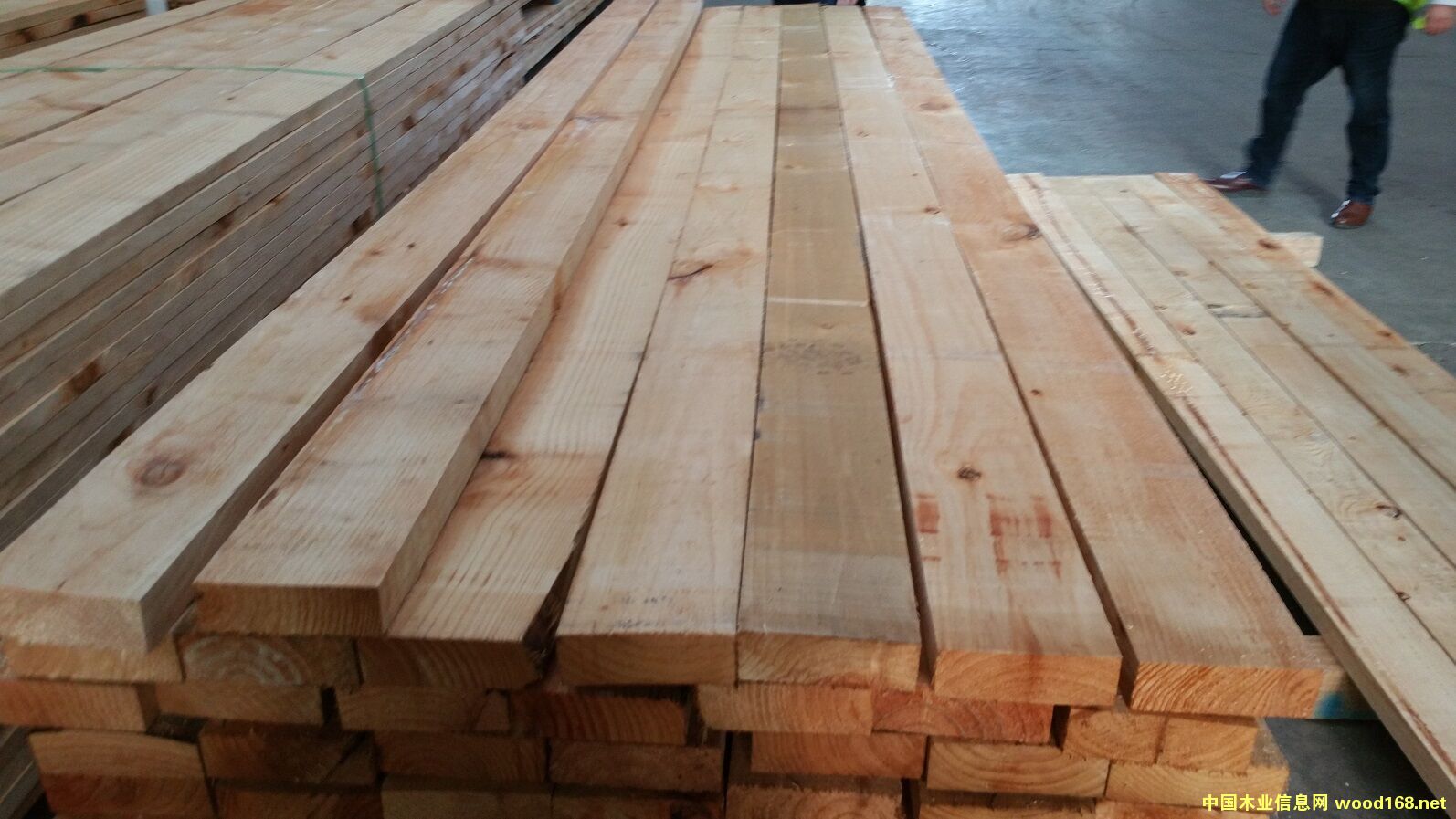 �����������ɰ��