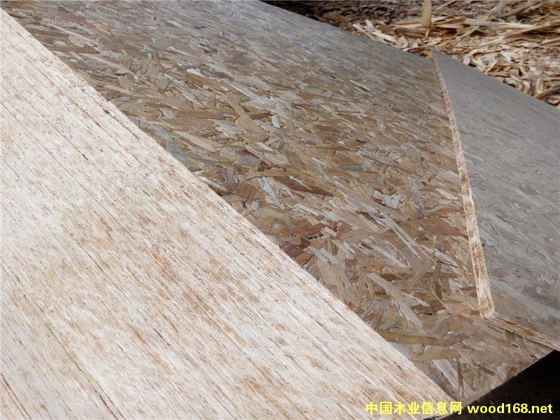 12mmľ�ݹ�����ŷ�ɰ�