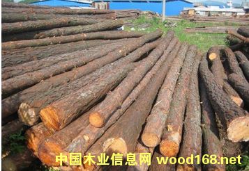 Ӧľ׮׮ľ/ԭľ׮ӵľ׮ϸ