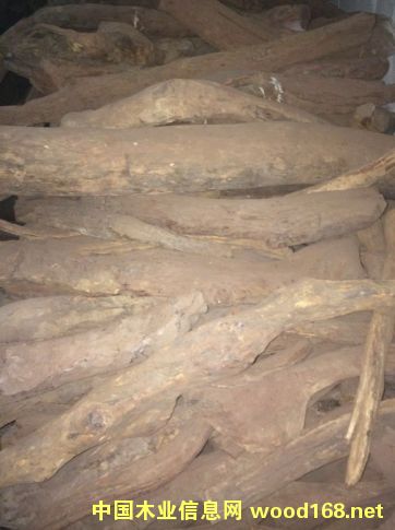 �������ϻƻ���ԭľ