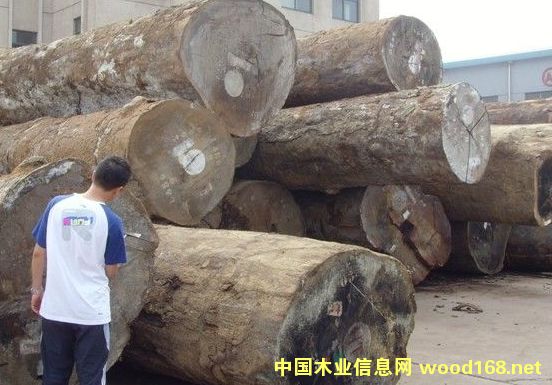 ���۰ͻ�ԭľ