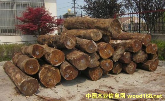 ������Ҷ��˼������˼ľ 