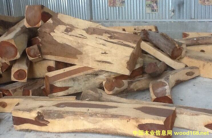 ����΢����̴���������֦ 