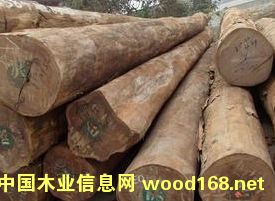 ������Ҷ��̴ԭľ