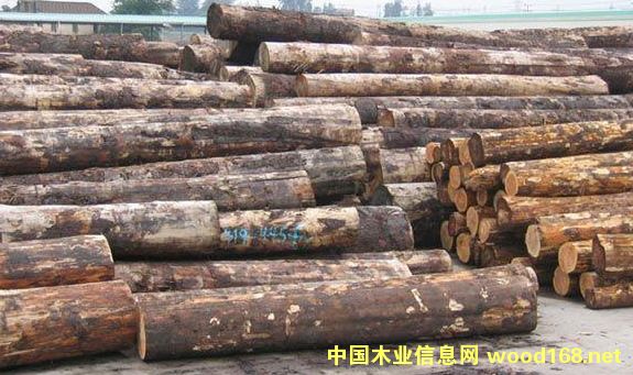 �������ô���ɼԭľ