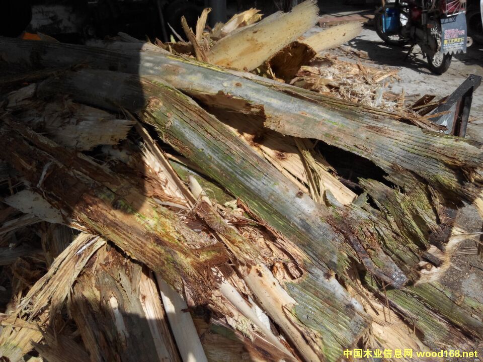 ľƤ/Ƥ/ľƤ/Ƥ/ȼϵϸ