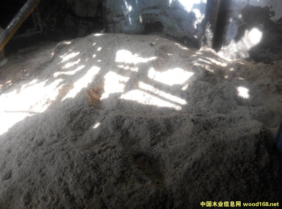 ľ/ľ/ľ/ľ/ľ/ľ/ȼ