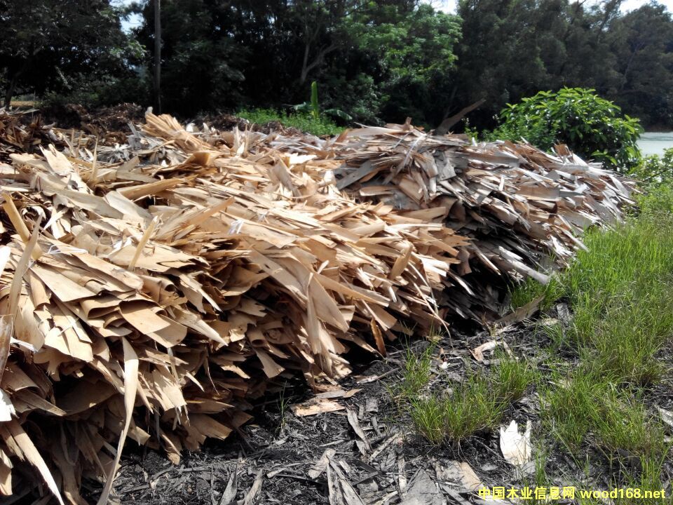 ֽ/ľ/ľƬ/ľľƬ/ȼ