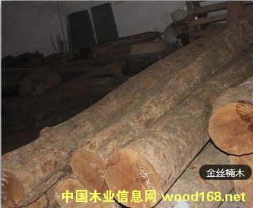 �Ĵ���˿�ľԭľ