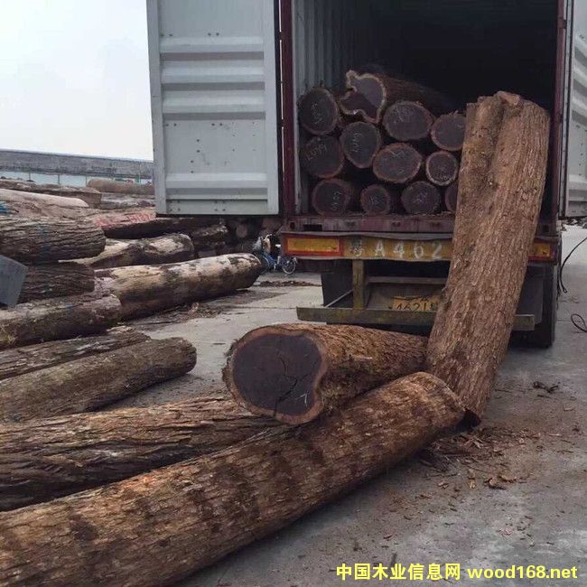 ����鿴���䶹2�Ŵ�ͼƬ