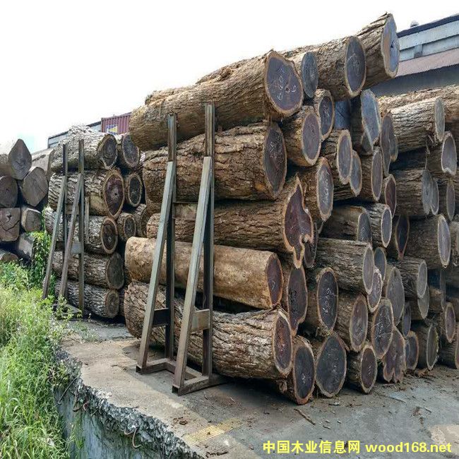 ����鿴���䶹�Ŵ�ͼƬ