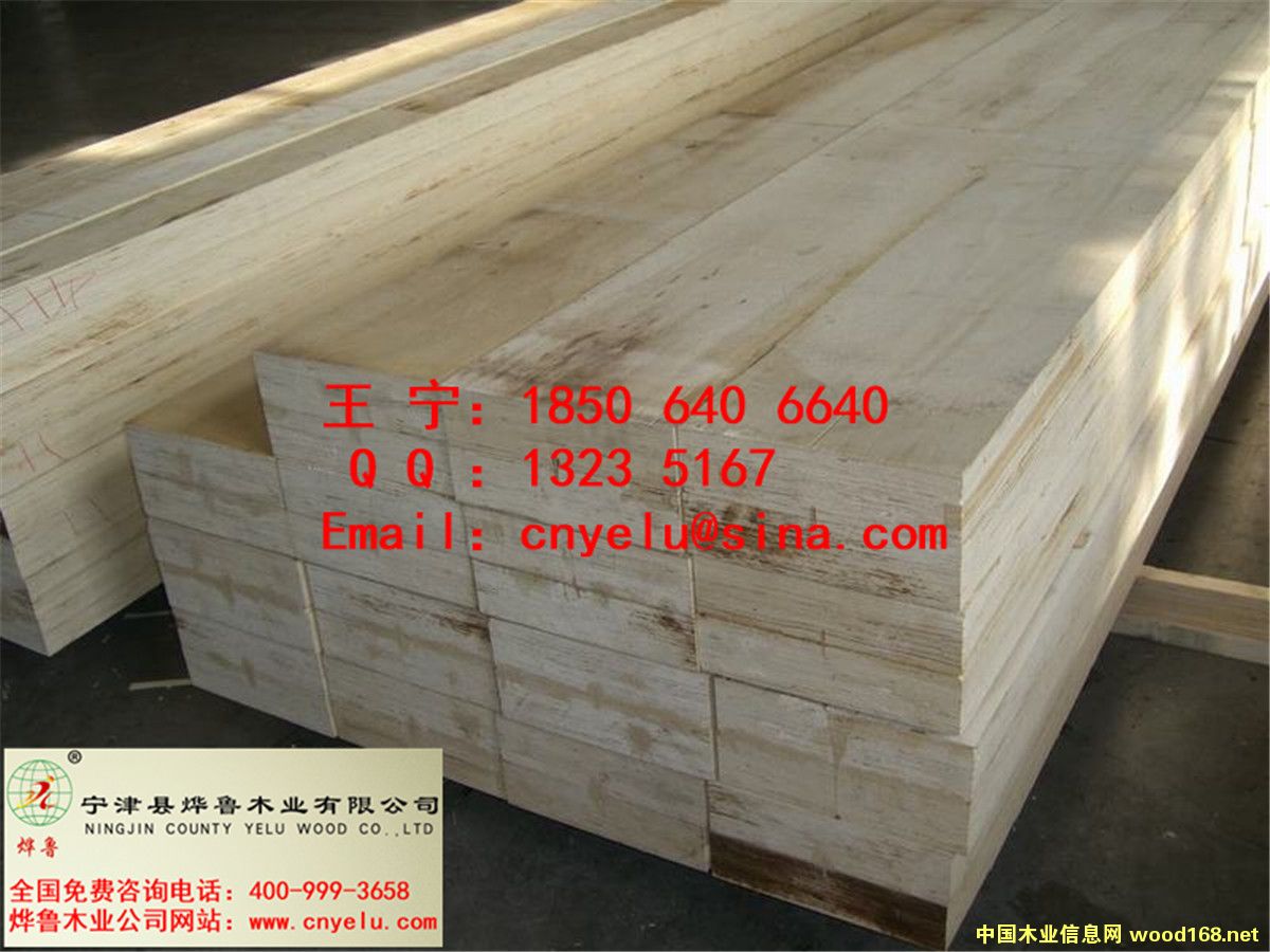 ����鿴LVL��ķŴ�ͼƬ