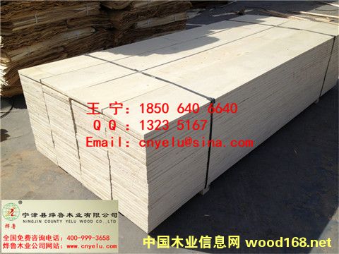 ����鿴��Ѭ��ľ���Ŵ�ͼƬ