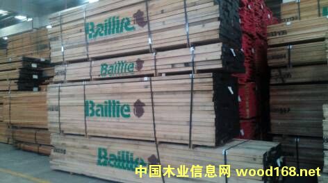 ����鿴�t��Ŵ�ͼƬ