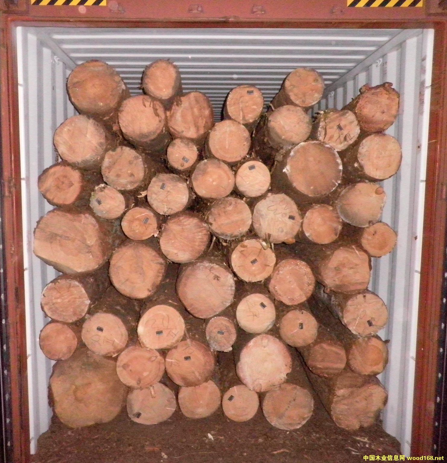 ������ԭľ