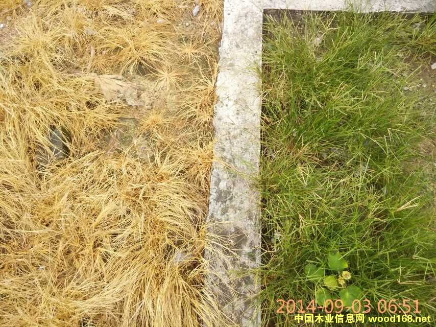 ����鿴��ݷ�Ŵ�ͼƬ