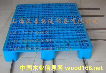 �Ϻ�������������