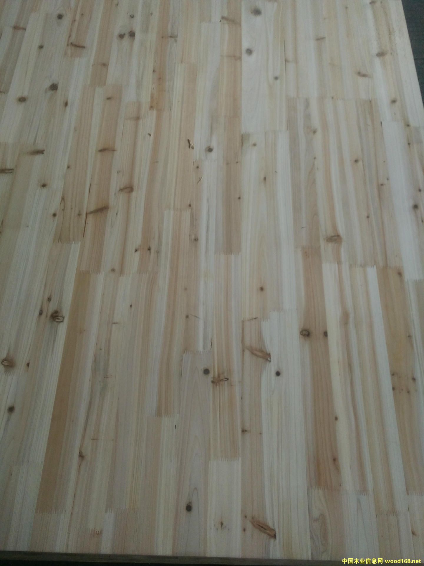 ����鿴 ɼľ���ɲķŴ�ͼƬ