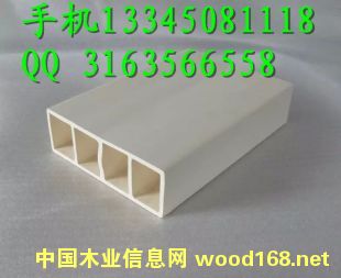  ͩ®  ɽ   ٰ ຼ̬ľ