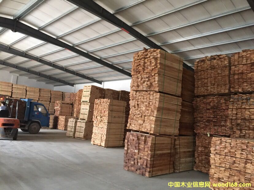 ��ľ����