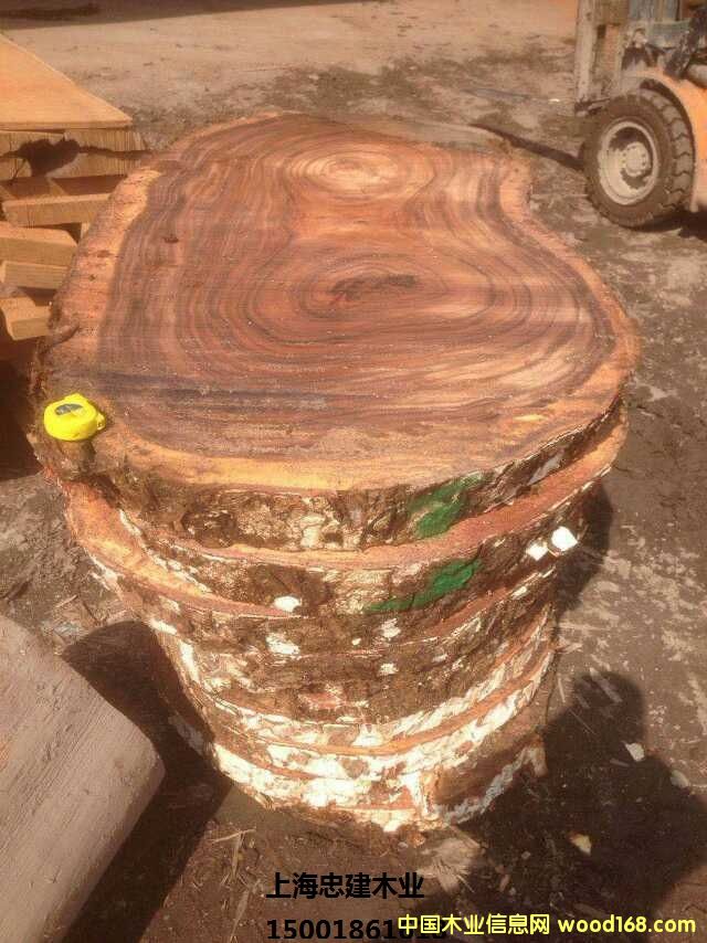 [��] �����ں��ң�����ľ