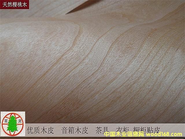 ��Ȼӣ������CC