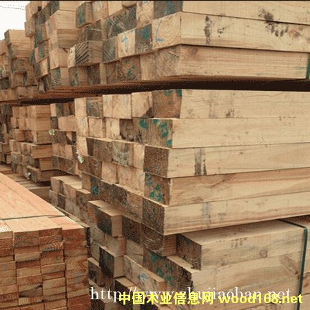 ������ľ��