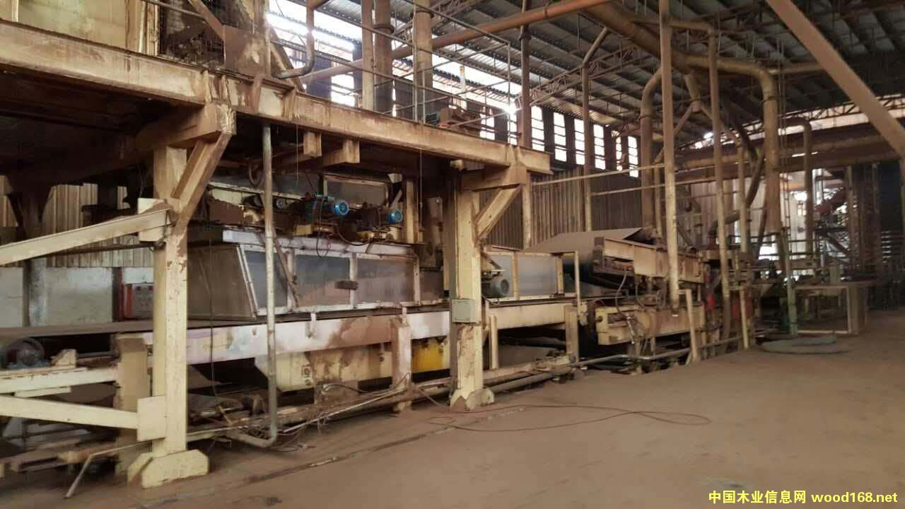 20�����˰������