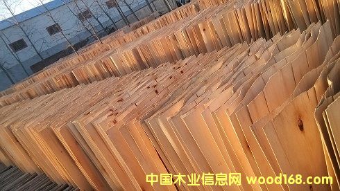 ��ľ���е���