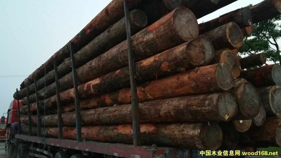 ľ��װ����Ƭ