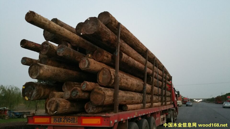 ľ��װ����Ƭ