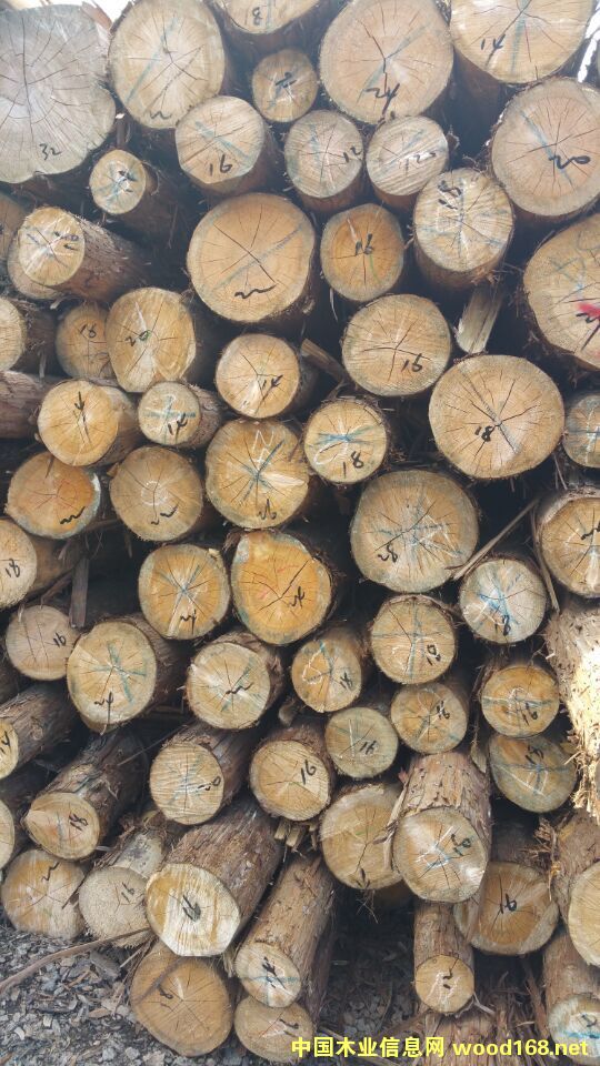 �������ԭľ