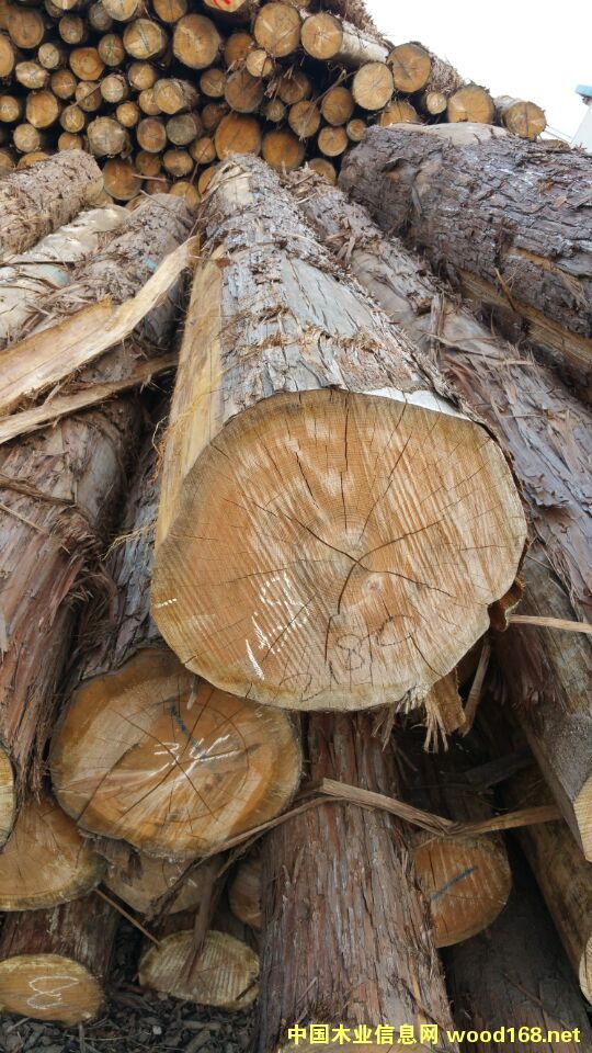 �������ԭľ