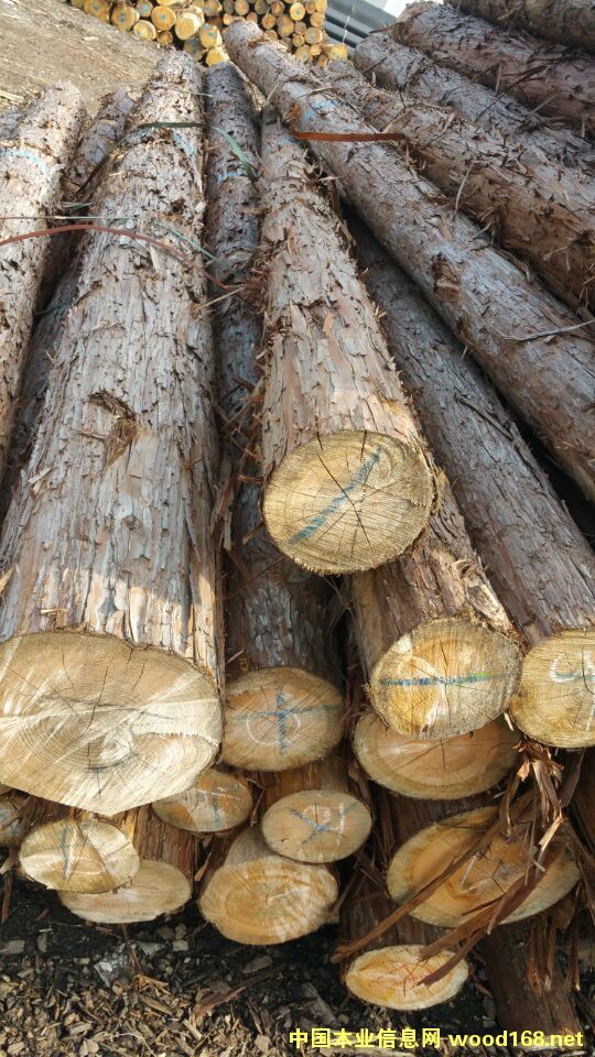 �������ԭľ