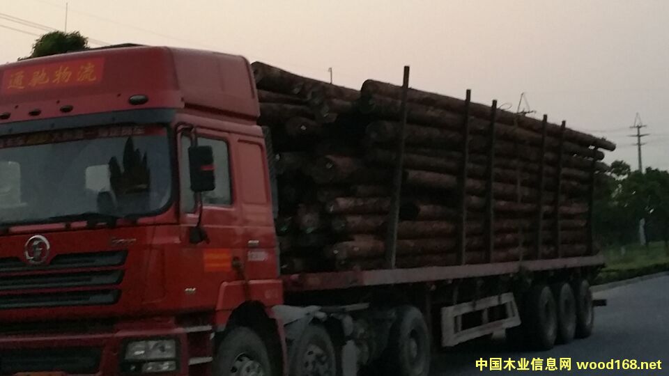 ľ��װ����Ƭ