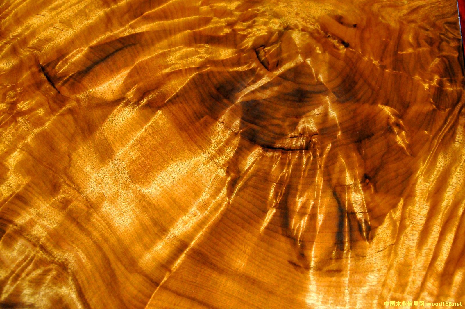 ��˿�ľ���ҹ����е����ľ��