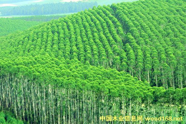 �������Ͷ�ʹ�˾�ܾ������ӿ��춫���ֳ�