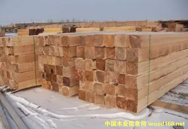 �½�����ɽ��˳ɭľҵ��רע����˹ľ��15��