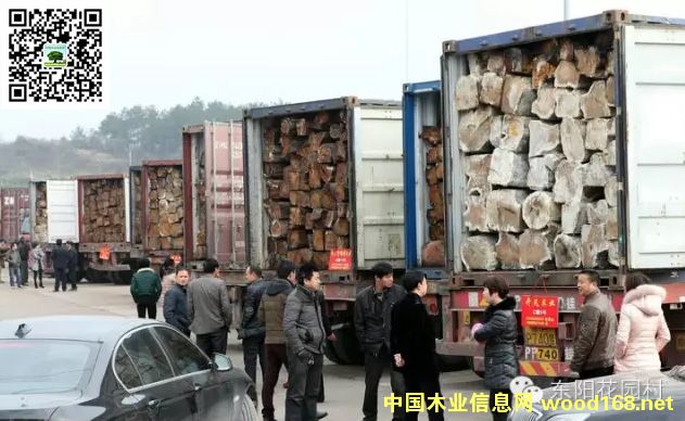 ������԰ԭľ�г��ǹ����������ľ�Ľ��׼�ɢ��