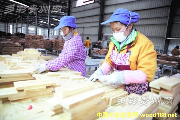 ���ݽ���԰����ҵ:�����г��쵼Ʒ��