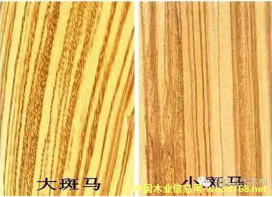 �ڽ�ľ�Ҿ߿�ʼ���� ʵΪ��С����ľ